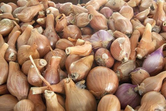 An assortment of small fresh shallots on display.