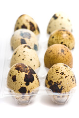 Fototapeta premium quail eggs isolated