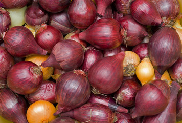 Onion 7