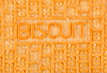 cookies, biscuit closeup