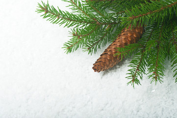 Spruce branch with fir-cone in the snow