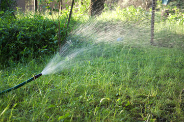 Watering the garden