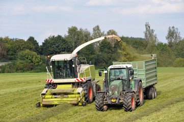 Faldhäcksler zur Erntezeit