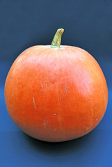 Halloween pumpkin on blue