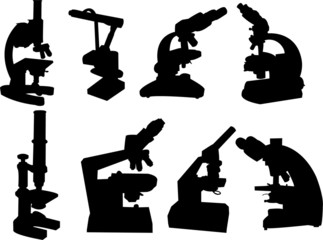 microscope collection vector