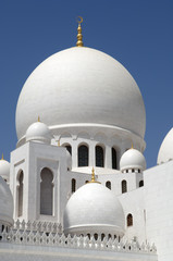 Naklejka premium Abu Dhabi Sheikh Zayed Mosque