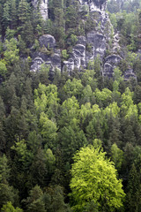 Felsen an der Bastei (Sachsen)