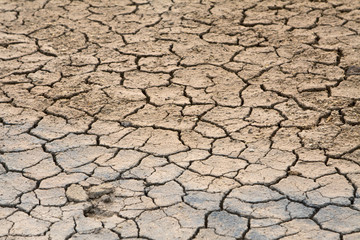 Ausgetrockneter Boden