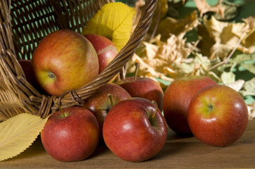 obst im korb
