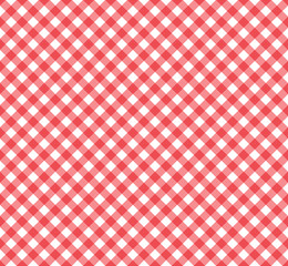 Gingham Pattern in Red and White