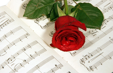 rose on   music note