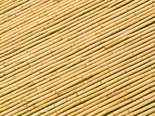 Bamboo Mat Angled Sticks