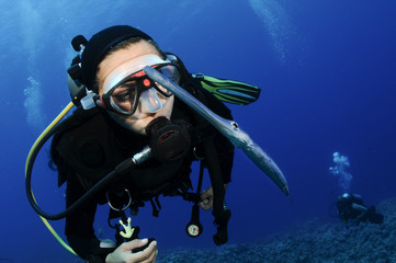 scuba diver and cornett fish