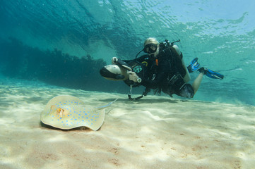 diver on underwater scooter with sting ray