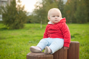 young adorable baby sit on wood stumps and look to the field