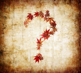 question mark made by leaves