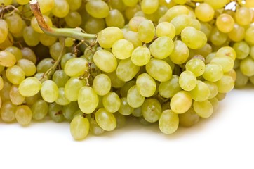 Grape isolated