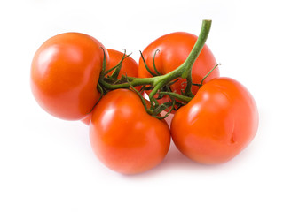 Tomatoes isolated