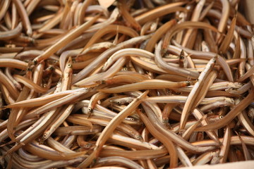 la friture