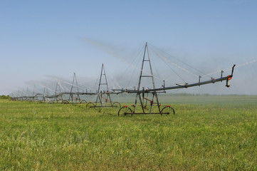 automated irrigation system