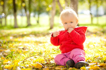young cheerful baby play with wooden brench under trees in park