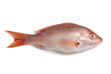 Türaufkleber Whole single fresh raw red snapper © Picture Partners