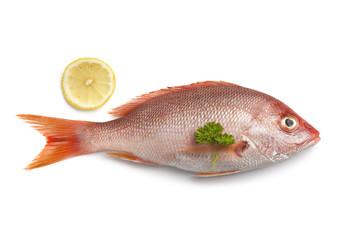 Fresh red snapper with lemon and parsley