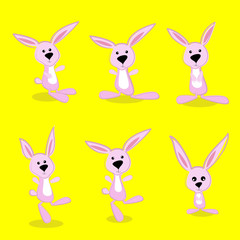 rabbit
