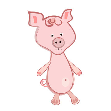 pig