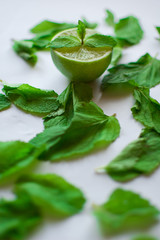 isolated lime and mint on a white background