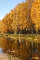 Beautiful landscape in park . Autumn scene
