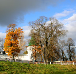 Obraz premium Beautiful landscape in park . Autumn scene