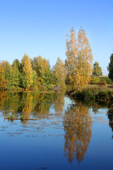 Fototapeta na wymiar Beautiful landscape in park . Autumn scene