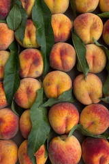 Fruit  peaches  ripe