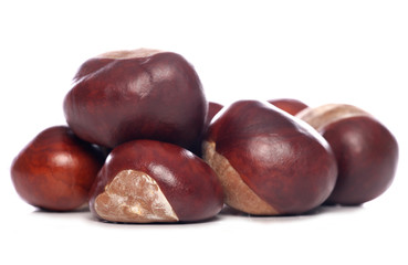 horse-chestnut conkers