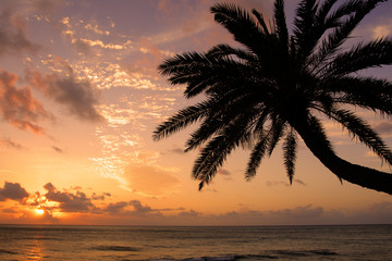 Sunset Beach, O'ahu, Hawaii.. - obrazy, fototapety, plakaty