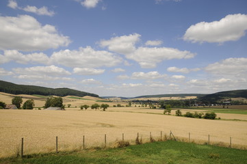 Getreidefelder bei Einbeck