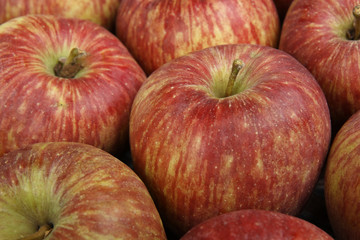 Red apples closeup