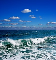 sea coast at the storm