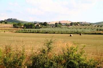 Hay field in Tuscany
