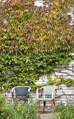 Gartenterrasse und Wilder Wein an der Hauswand