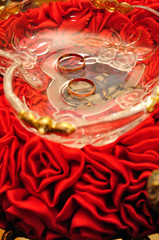 Wedding Rings