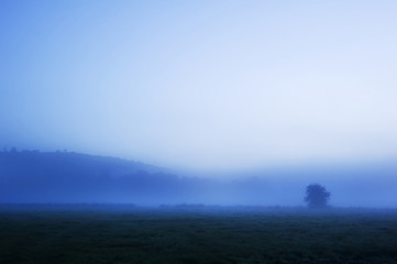 Moody misty foggy morning scene before sunrise