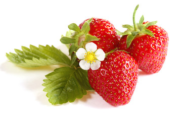Strawberries on white background