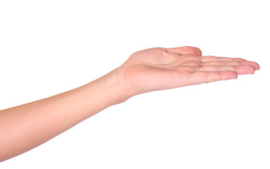 Empty hand isolated