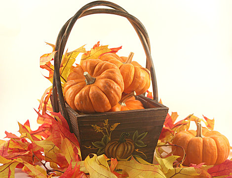 orange pumpkins in a basket