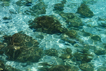Rock under the sea