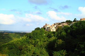 View of Scansano, in the distance