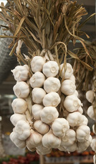 Hanging garlic