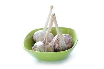 Garlic